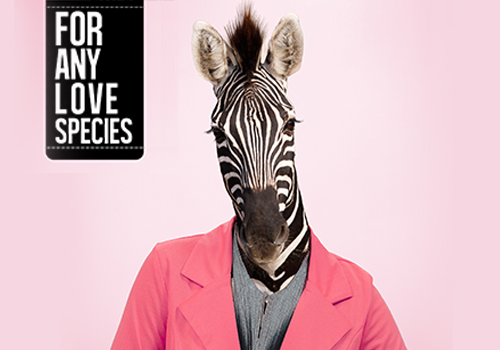 MUSE Advertising Awards - Love Species